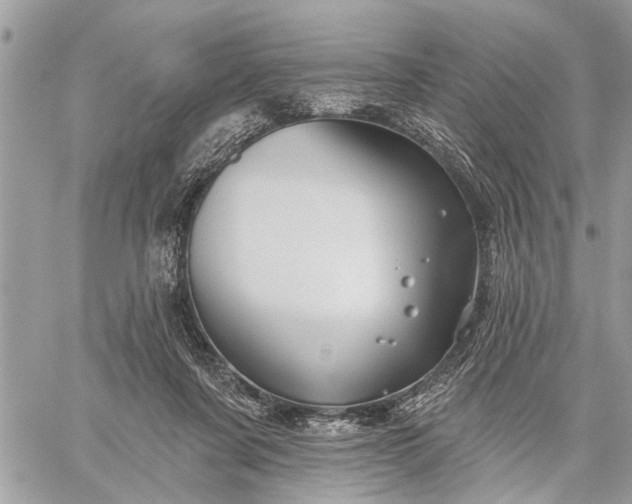 X0000059100311200510211639