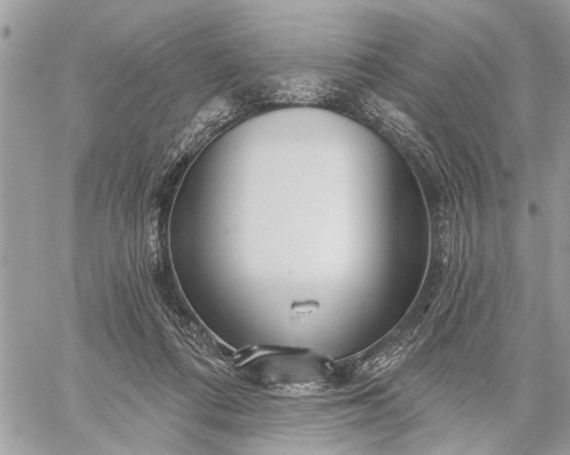 X0000059100312200510211639