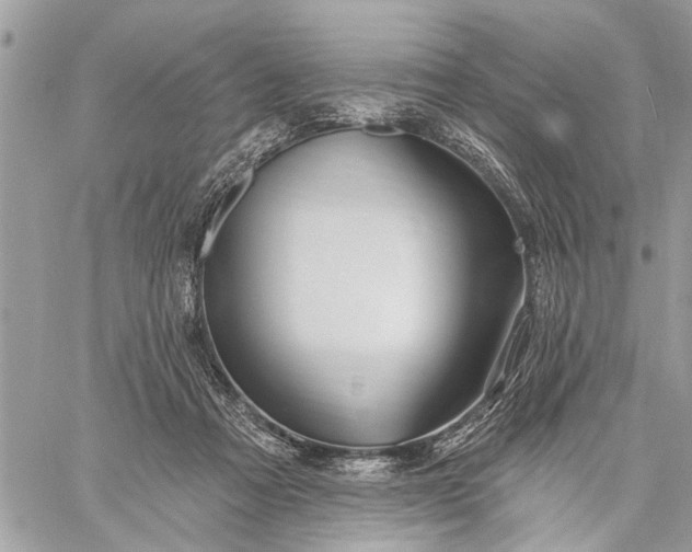 X0000059100313200510211639