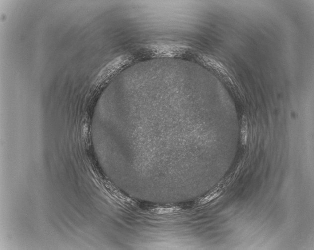 X0000059100314200510211639