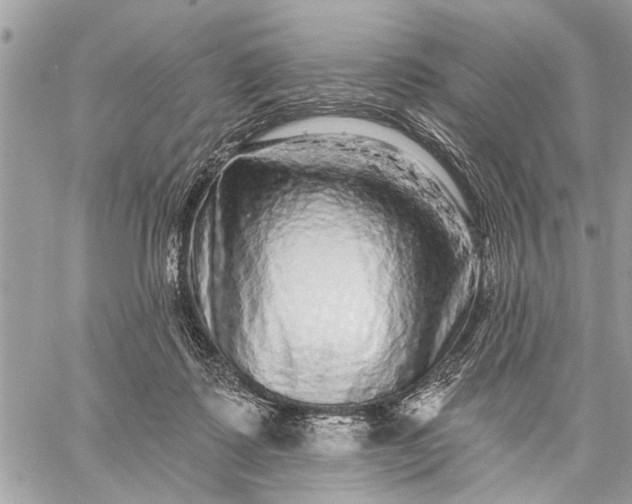 X0000059100315200510211639