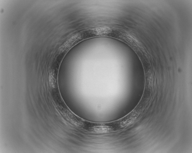 X0000059100316200510211639