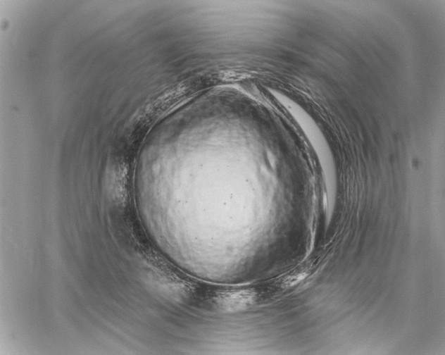 X0000059100319200510211639