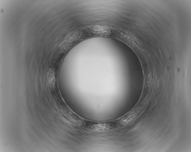 X0000059100320200510211639