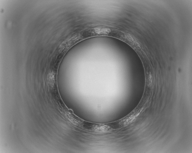 X0000059100321200510211639