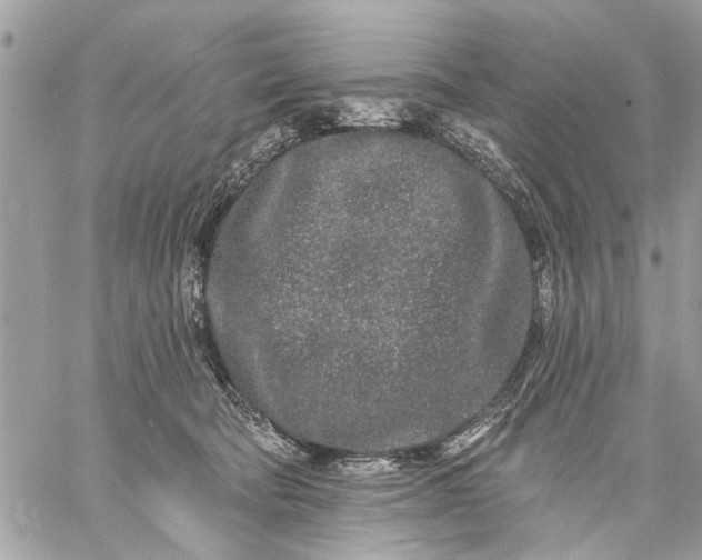 X0000059100322200510211639