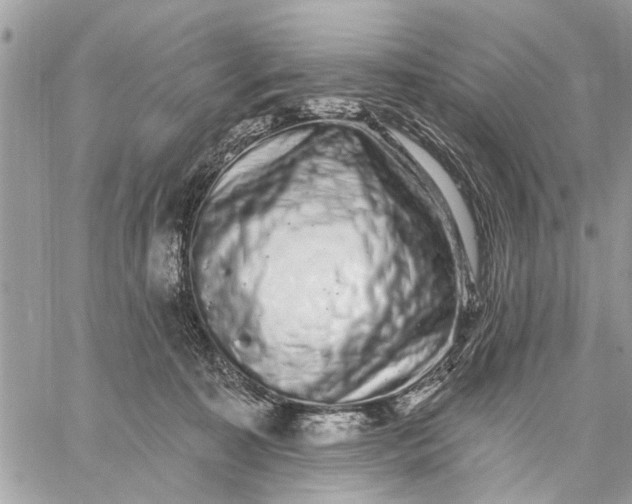 X0000059100323200510211639