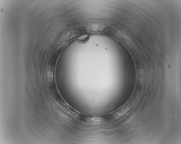 X0000059100324200510211639