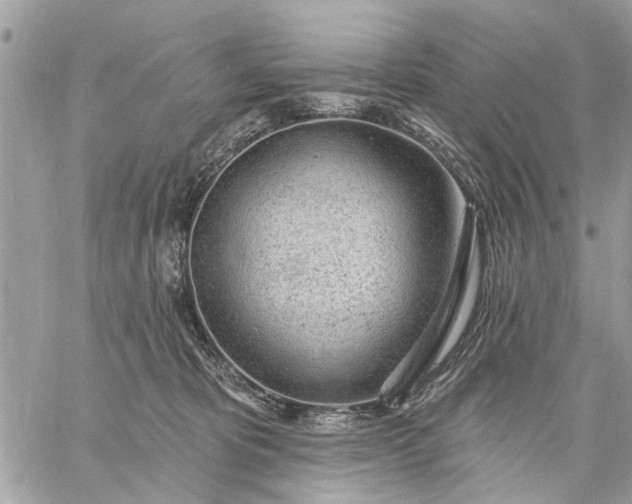 X0000059100325200510211639