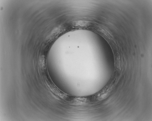 X0000059100328200510211639