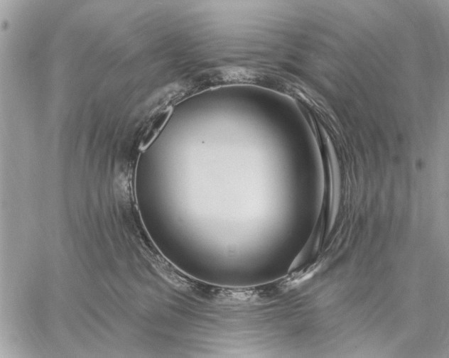 X0000059100329200510211639