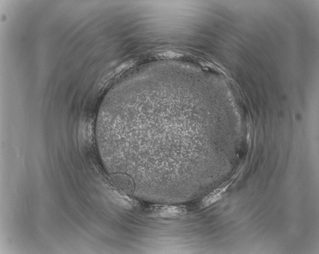 X0000059100330200510211639