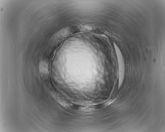 X0000059100331200510211639