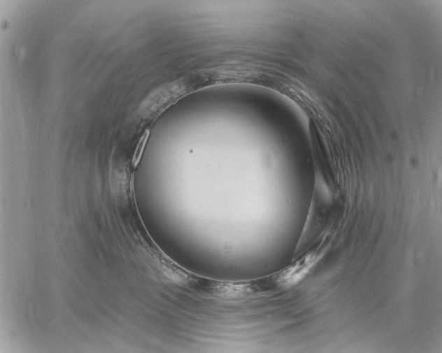 X0000059100333200510211639