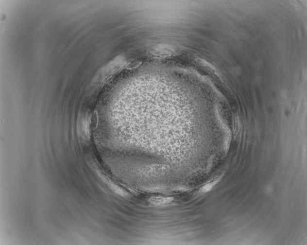 X0000059100334200510211639