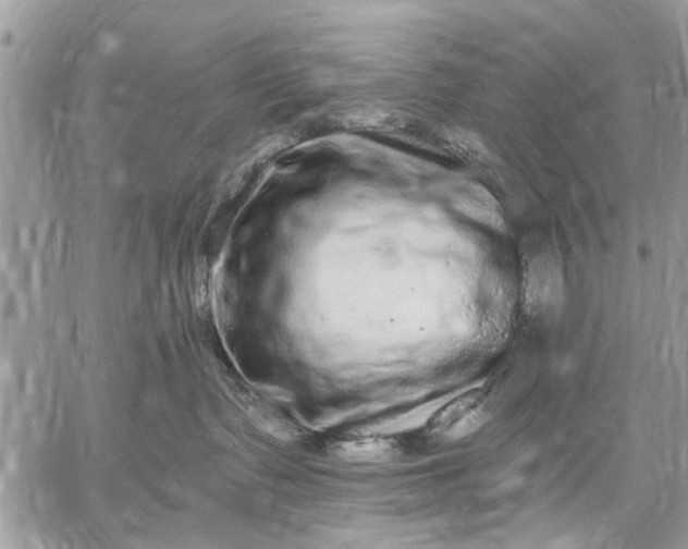 X0000059100335200510211639