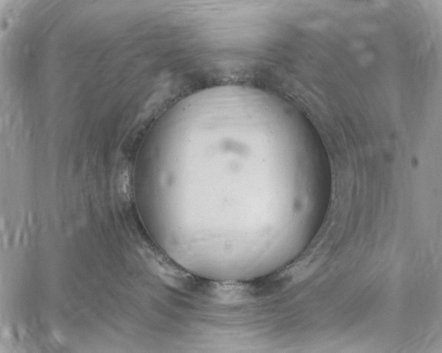 X0000059100336200510211639