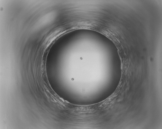 X0000059100338200510211638