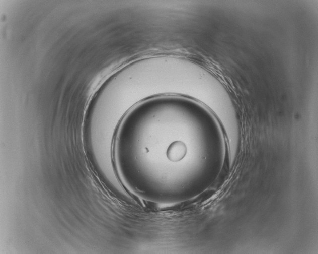 X0000059100340200510211638