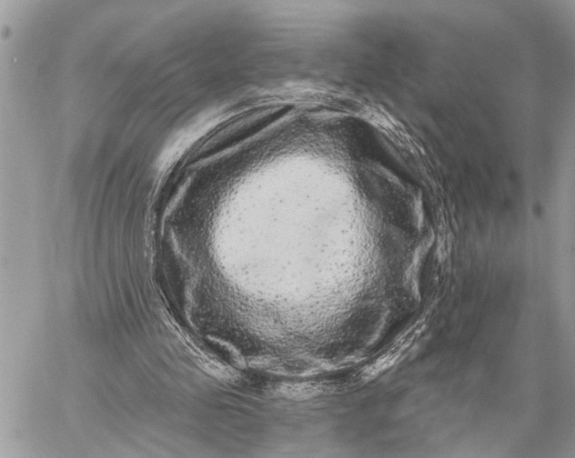 X0000059100341200510211638