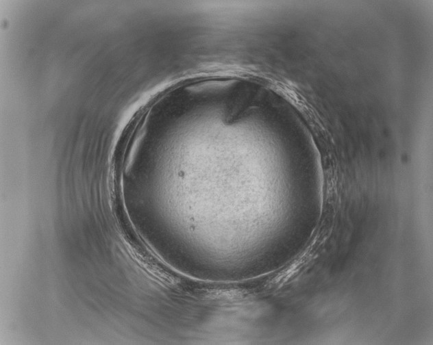 X0000059100342200510211638