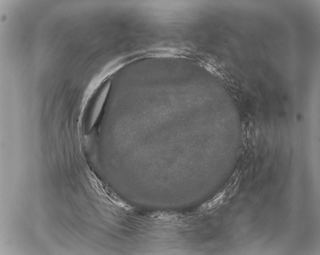 X0000059100343200510211638