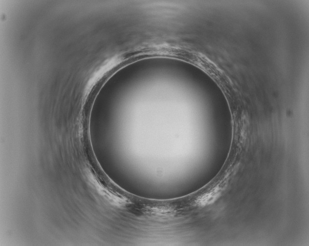 X0000059100344200510211638