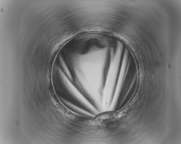 X0000059100345200510211638