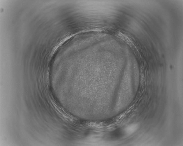 X0000059100346200510211638