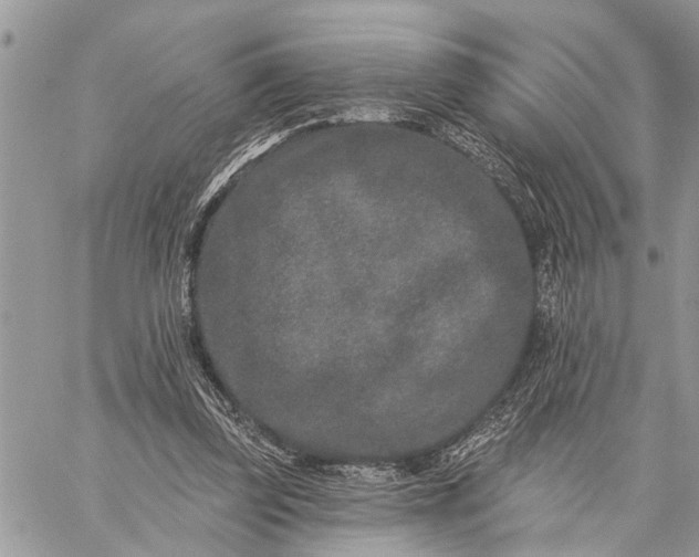 X0000059100347200510211638