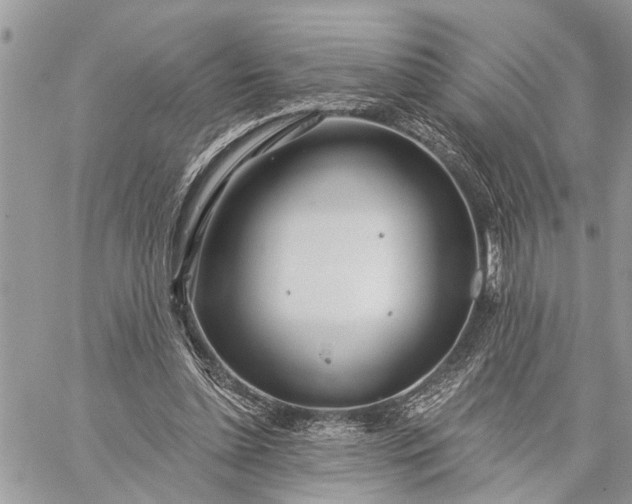 X0000059100348200510211638