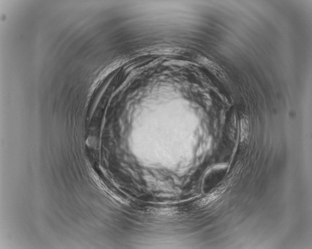 X0000059100349200510211638