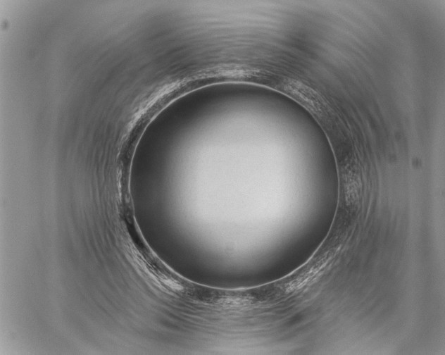 X0000059100350200510211638