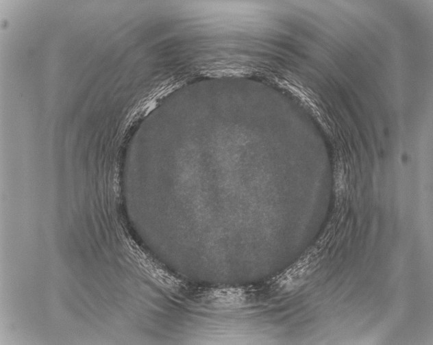 X0000059100353200510211638