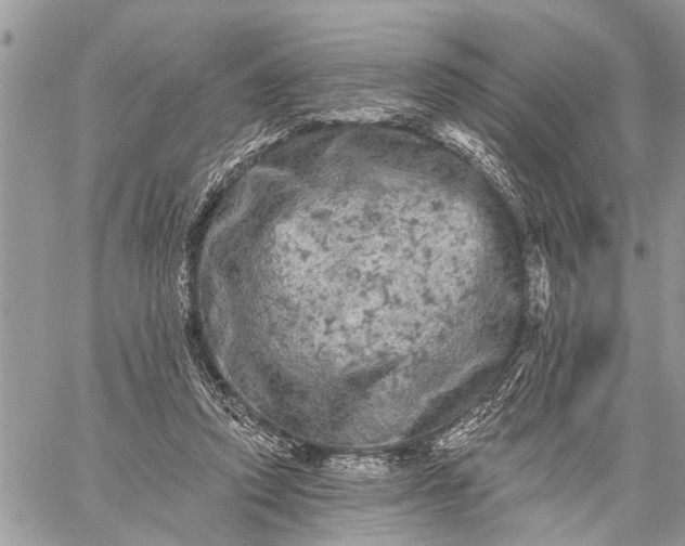 X0000059100354200510211638