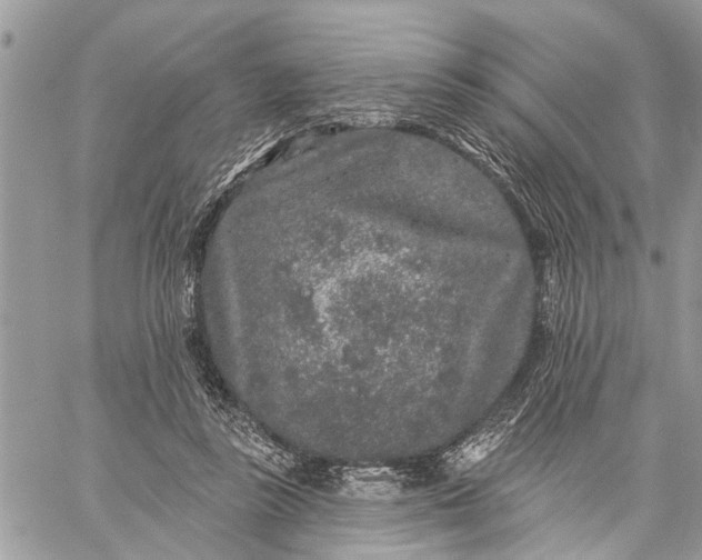 X0000059100355200510211638