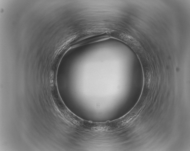 X0000059100356200510211638