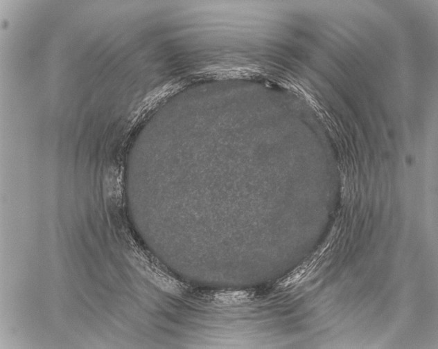 X0000059100357200510211638