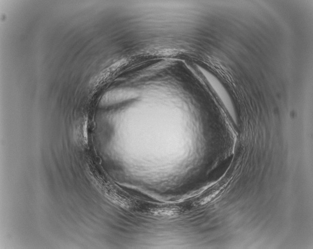 X0000059100358200510211638