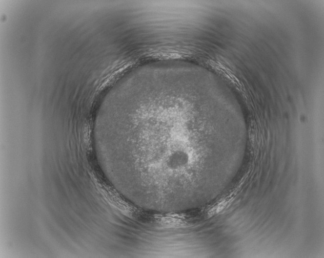 X0000059100359200510211638