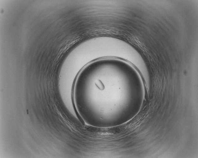 X0000059100360200510211638