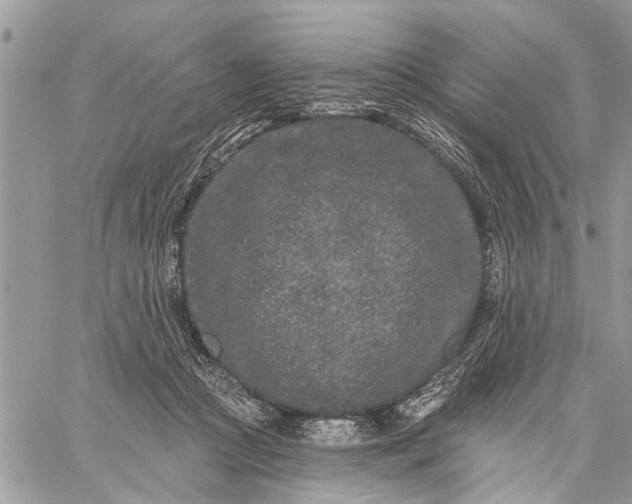 X0000059100361200510211638