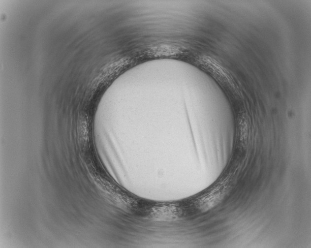 X0000059100362200510211638