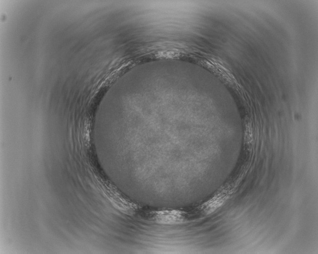 X0000059100363200510211638