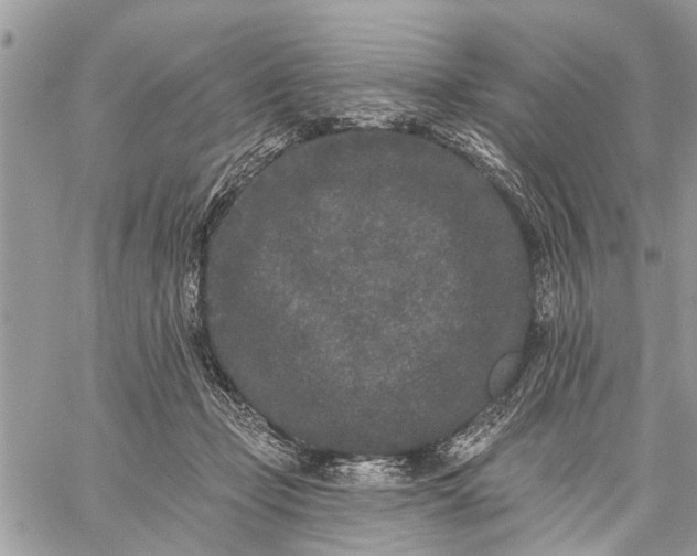 X0000059100365200510211638