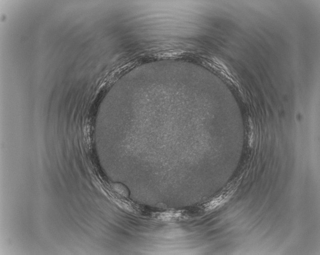 X0000059100366200510211638