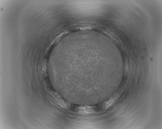 X0000059100367200510211638