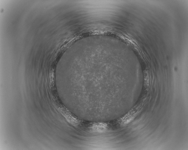 X0000059100369200510211638