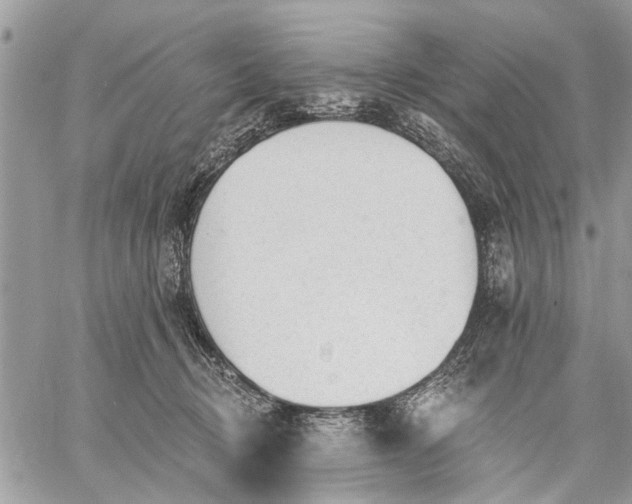 X0000059100370200510211638