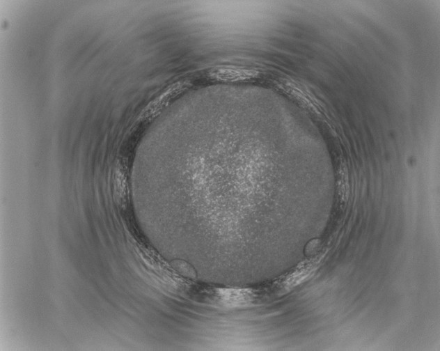 X0000059100371200510211638